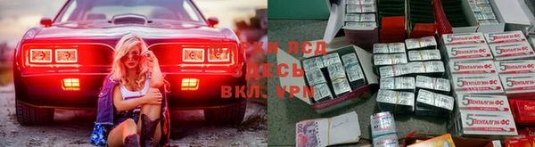 стаф Каменка