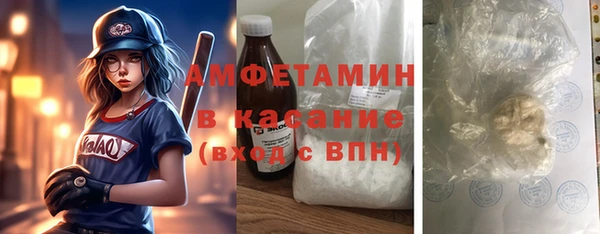 стаф Каменка