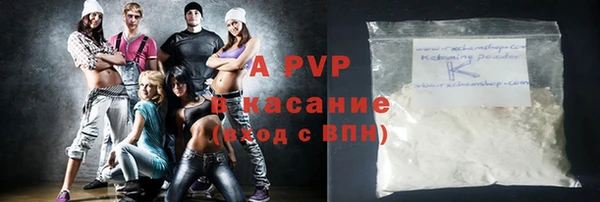 стаф Каменка