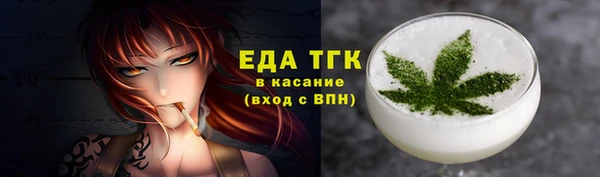 стаф Каменка