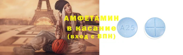 стаф Каменка