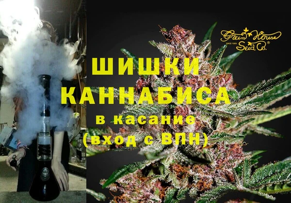 стаф Каменка