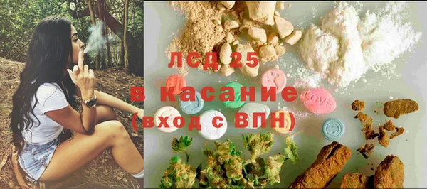стаф Каменка