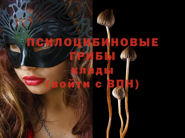 кокс Каменногорск