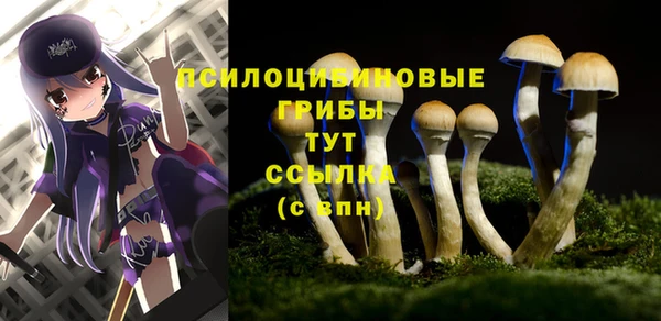 кокс Каменногорск