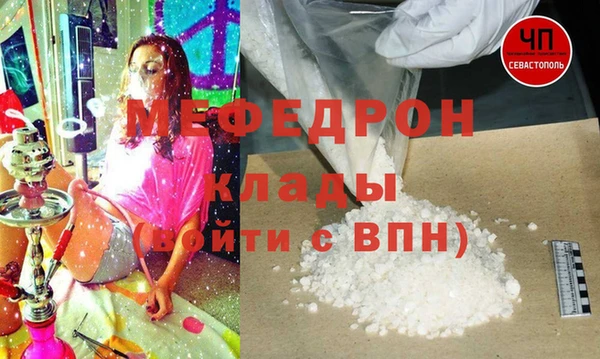 стаф Каменка
