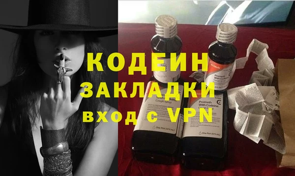 стаф Каменка