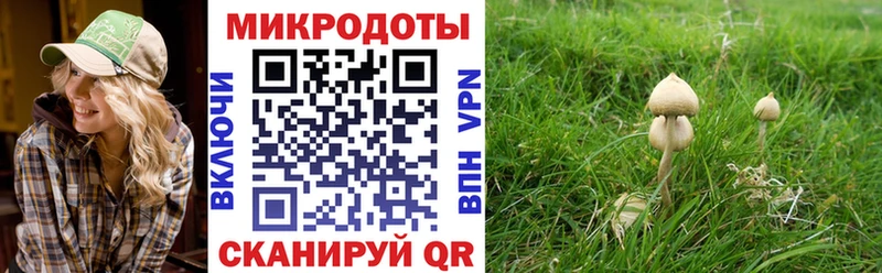 Псилоцибиновые грибы ЛСД  Купить закладки  Кологрив 