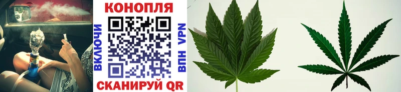 Шишки марихуана THC 21%  Купить где  Кологрив 